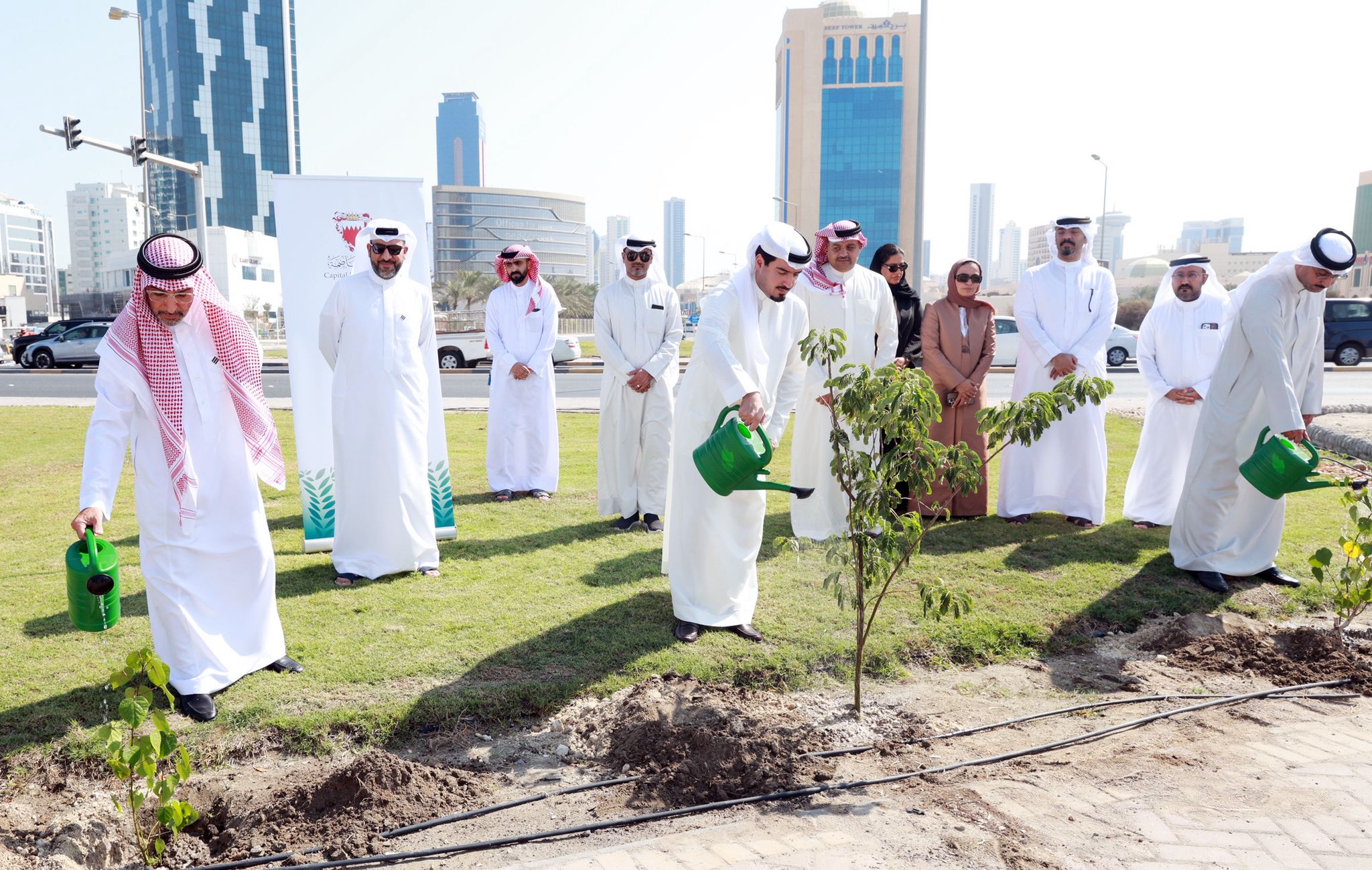 ضمن فعاليات أسبوع الشجرة .. محافظة العاصمة تدشن مشروع تشجير شارع رئيسي بضاحية السيف بالشراكة مع خليجي بنك<